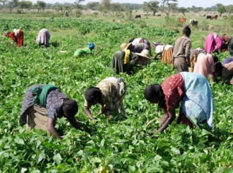 agriculture-ethiopia