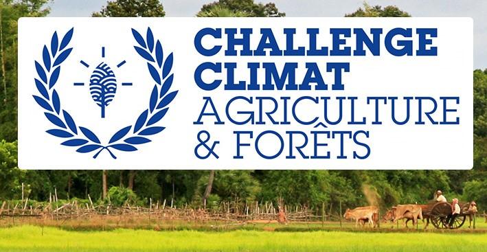 Challenge Climat Agriculture et forêts